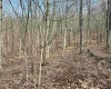 0 Herb Hyre Road, French Creek, West Virginia 26218, ,Lots/land,For Sale,Herb Hyre,10164037