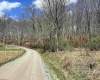 0 Herb Hyre Road, French Creek, West Virginia 26218, ,Lots/land,For Sale,Herb Hyre,10164037