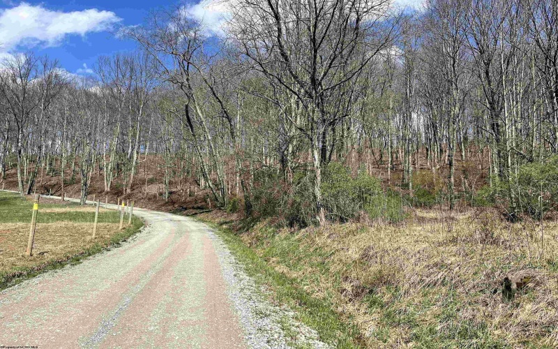 0 Herb Hyre Road, French Creek, West Virginia 26218, ,Lots/land,For Sale,Herb Hyre,10164037
