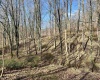 0 Herb Hyre Road, French Creek, West Virginia 26218, ,Lots/land,For Sale,Herb Hyre,10164037
