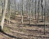 0 Herb Hyre Road, French Creek, West Virginia 26218, ,Lots/land,For Sale,Herb Hyre,10164037