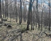 0 Herb Hyre Road, French Creek, West Virginia 26218, ,Lots/land,For Sale,Herb Hyre,10164037