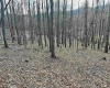 0 Herb Hyre Road, French Creek, West Virginia 26218, ,Lots/land,For Sale,Herb Hyre,10164037