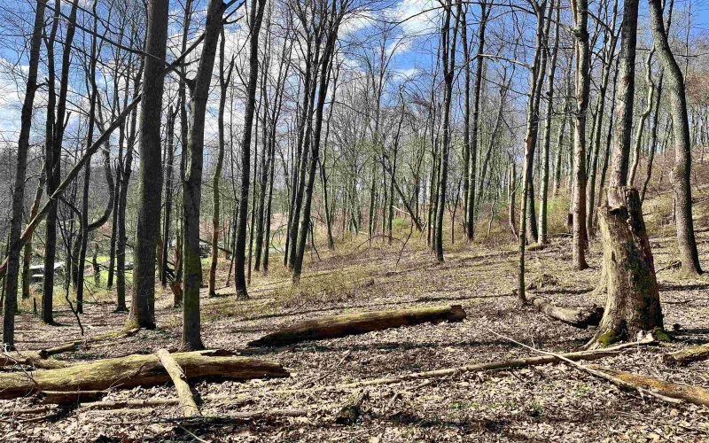 0 Herb Hyre Road, French Creek, West Virginia 26218, ,Lots/land,For Sale,Herb Hyre,10164037