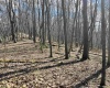 0 Herb Hyre Road, French Creek, West Virginia 26218, ,Lots/land,For Sale,Herb Hyre,10164037