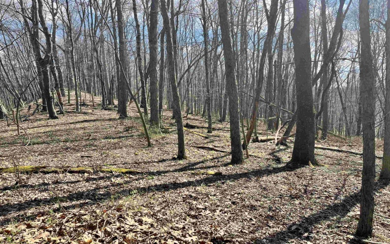 0 Herb Hyre Road, French Creek, West Virginia 26218, ,Lots/land,For Sale,Herb Hyre,10164037