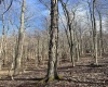 0 Herb Hyre Road, French Creek, West Virginia 26218, ,Lots/land,For Sale,Herb Hyre,10164037