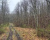 0 Bear Mountain Road, Flemington, West Virginia 26347, ,Lots/land,For Sale,Bear Mountain,10164047