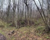 0 Bear Mountain Road, Flemington, West Virginia 26347, ,Lots/land,For Sale,Bear Mountain,10164047
