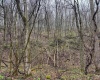 0 Bear Mountain Road, Flemington, West Virginia 26347, ,Lots/land,For Sale,Bear Mountain,10164047