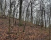 0 Bear Mountain Road, Flemington, West Virginia 26347, ,Lots/land,For Sale,Bear Mountain,10164047