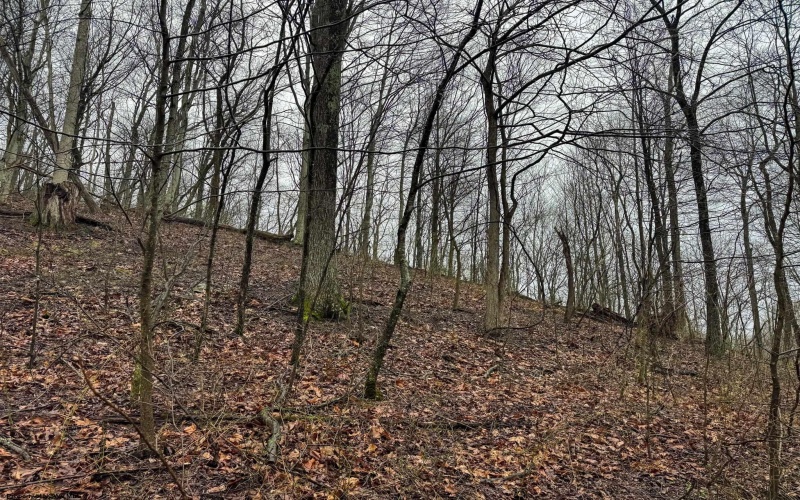 0 Bear Mountain Road, Flemington, West Virginia 26347, ,Lots/land,For Sale,Bear Mountain,10164047