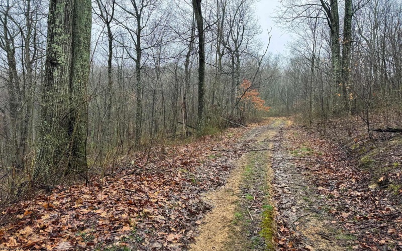 0 Bear Mountain Road, Flemington, West Virginia 26347, ,Lots/land,For Sale,Bear Mountain,10164047