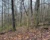 0 Bear Mountain Road, Flemington, West Virginia 26347, ,Lots/land,For Sale,Bear Mountain,10164047