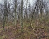0 Bear Mountain Road, Flemington, West Virginia 26347, ,Lots/land,For Sale,Bear Mountain,10164047