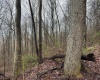 0 Bear Mountain Road, Flemington, West Virginia 26347, ,Lots/land,For Sale,Bear Mountain,10164047