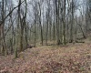 0 Bear Mountain Road, Flemington, West Virginia 26347, ,Lots/land,For Sale,Bear Mountain,10164047