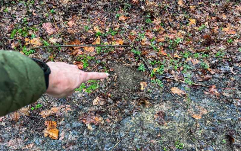 0 Bear Mountain Road, Flemington, West Virginia 26347, ,Lots/land,For Sale,Bear Mountain,10164047