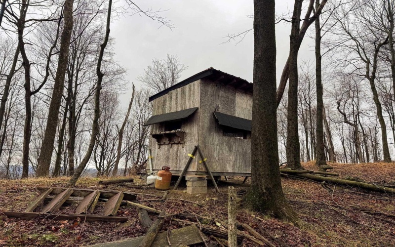 0 Bear Mountain Road, Flemington, West Virginia 26347, ,Lots/land,For Sale,Bear Mountain,10164047