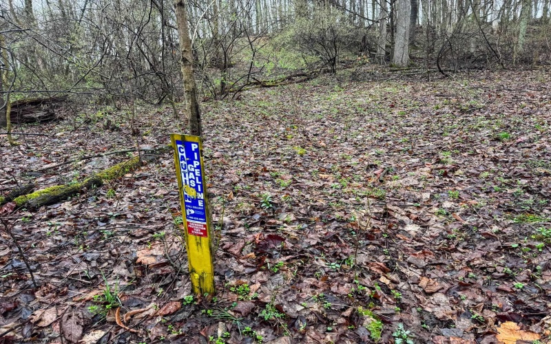 0 Bear Mountain Road, Flemington, West Virginia 26347, ,Lots/land,For Sale,Bear Mountain,10164047