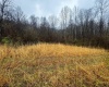 0 Bear Mountain Road, Flemington, West Virginia 26347, ,Lots/land,For Sale,Bear Mountain,10164047
