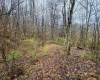 0 Bear Mountain Road, Flemington, West Virginia 26347, ,Lots/land,For Sale,Bear Mountain,10164047