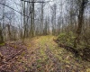 0 Bear Mountain Road, Flemington, West Virginia 26347, ,Lots/land,For Sale,Bear Mountain,10164047