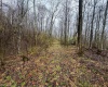 0 Bear Mountain Road, Flemington, West Virginia 26347, ,Lots/land,For Sale,Bear Mountain,10164047