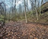 0 Bear Mountain Road, Flemington, West Virginia 26347, ,Lots/land,For Sale,Bear Mountain,10164047