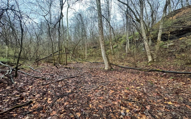 0 Bear Mountain Road, Flemington, West Virginia 26347, ,Lots/land,For Sale,Bear Mountain,10164047