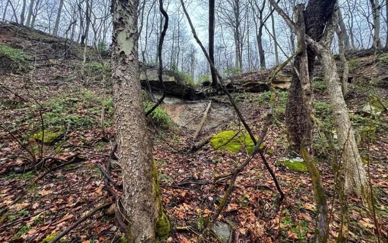 0 Bear Mountain Road, Flemington, West Virginia 26347, ,Lots/land,For Sale,Bear Mountain,10164047