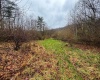 0 Bear Mountain Road, Flemington, West Virginia 26347, ,Lots/land,For Sale,Bear Mountain,10164047