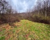 0 Bear Mountain Road, Flemington, West Virginia 26347, ,Lots/land,For Sale,Bear Mountain,10164047