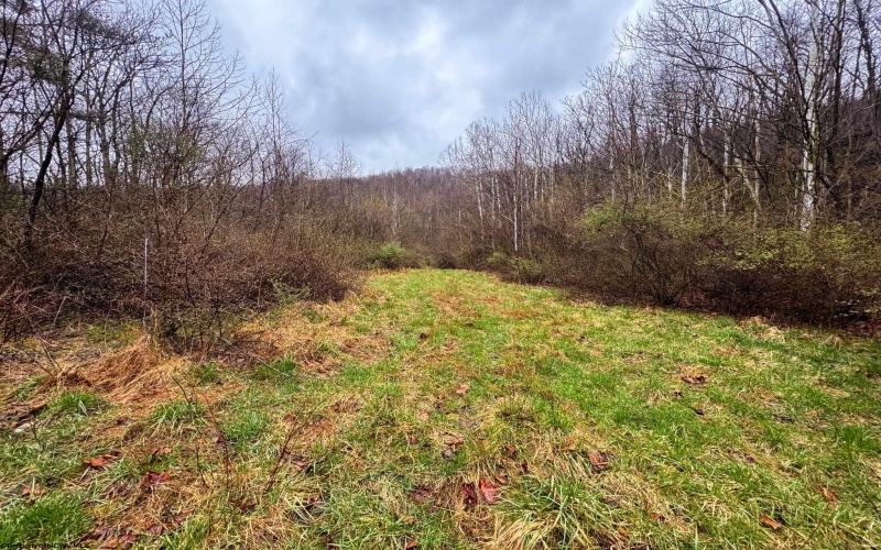 0 Bear Mountain Road, Flemington, West Virginia 26347, ,Lots/land,For Sale,Bear Mountain,10164047