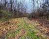 0 Bear Mountain Road, Flemington, West Virginia 26347, ,Lots/land,For Sale,Bear Mountain,10164047