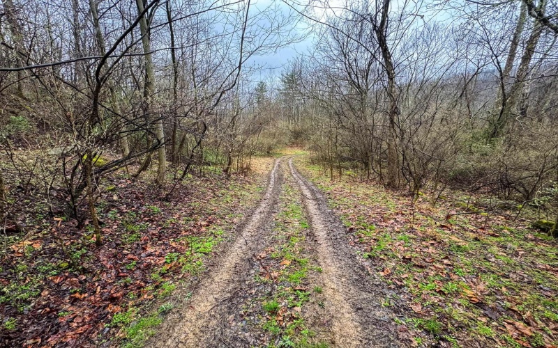 0 Bear Mountain Road, Flemington, West Virginia 26347, ,Lots/land,For Sale,Bear Mountain,10164047