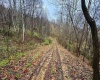 0 Bear Mountain Road, Flemington, West Virginia 26347, ,Lots/land,For Sale,Bear Mountain,10164047