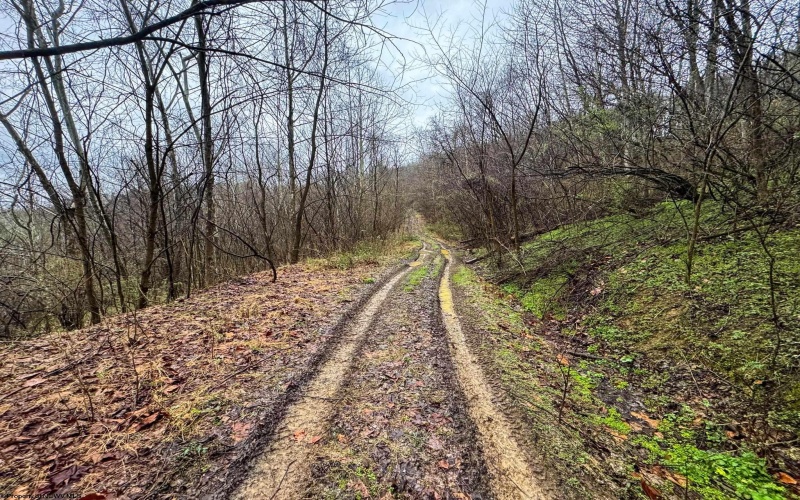 0 Bear Mountain Road, Flemington, West Virginia 26347, ,Lots/land,For Sale,Bear Mountain,10164047