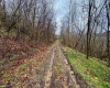 0 Bear Mountain Road, Flemington, West Virginia 26347, ,Lots/land,For Sale,Bear Mountain,10164047