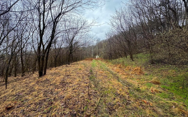 0 Bear Mountain Road, Flemington, West Virginia 26347, ,Lots/land,For Sale,Bear Mountain,10164047