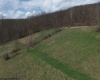 0 Bear Mountain Road, Flemington, West Virginia 26347, ,Lots/land,For Sale,Bear Mountain,10164047