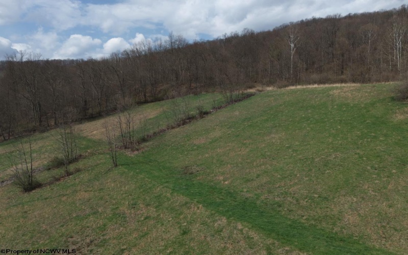 0 Bear Mountain Road, Flemington, West Virginia 26347, ,Lots/land,For Sale,Bear Mountain,10164047