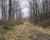 0 Bear Mountain Road, Flemington, West Virginia 26347, ,Lots/land,For Sale,Bear Mountain,10164047