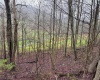 0 Bear Mountain Road, Flemington, West Virginia 26347, ,Lots/land,For Sale,Bear Mountain,10164047