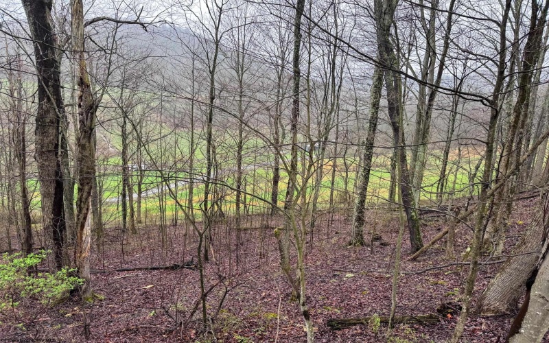 0 Bear Mountain Road, Flemington, West Virginia 26347, ,Lots/land,For Sale,Bear Mountain,10164047