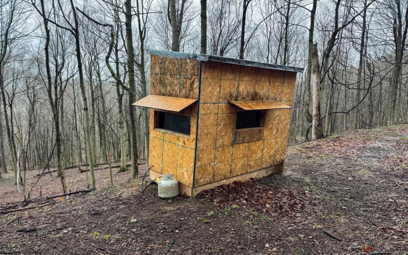 0 Bear Mountain Road, Flemington, West Virginia 26347, ,Lots/land,For Sale,Bear Mountain,10164047