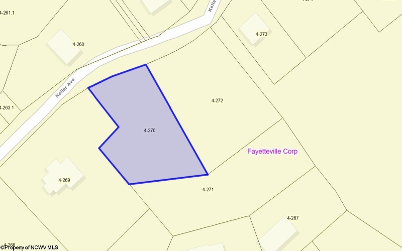 100 Keller Avenue, Fayetteville, West Virginia 25840, 3 Bedrooms Bedrooms, 9 Rooms Rooms,2 BathroomsBathrooms,Single Family Detached,For Sale,Keller,10164064