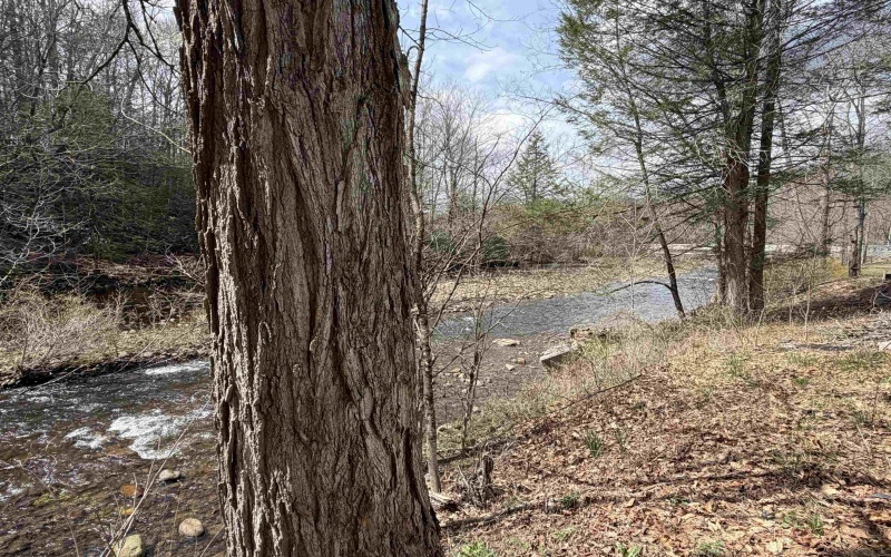 80 Appalachian Highway, Dryfork, West Virginia 26263, 3 Bedrooms Bedrooms, 7 Rooms Rooms,1 BathroomBathrooms,Single Family Detached,For Sale,Appalachian,10164069 80 Appalachian Highway, Dryfork, West Virginia 26263, 3 Bedrooms Bedrooms, 7 Rooms Rooms,1 BathroomBathrooms,Single Family Detached,For Sale,Appalachian,10164069