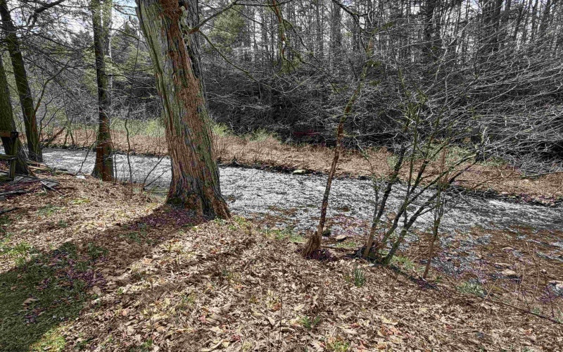 80 Appalachian Highway, Dryfork, West Virginia 26263, 3 Bedrooms Bedrooms, 7 Rooms Rooms,1 BathroomBathrooms,Single Family Detached,For Sale,Appalachian,10164069 80 Appalachian Highway, Dryfork, West Virginia 26263, 3 Bedrooms Bedrooms, 7 Rooms Rooms,1 BathroomBathrooms,Single Family Detached,For Sale,Appalachian,10164069