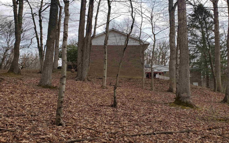 356 Bearhunter Estates, Elkins, West Virginia 26241, 5 Bedrooms Bedrooms, 12 Rooms Rooms,3 BathroomsBathrooms,Single Family Detached,For Sale,Bearhunter,10164068 356 Bearhunter Estates, Elkins, West Virginia 26241, 5 Bedrooms Bedrooms, 12 Rooms Rooms,3 BathroomsBathrooms,Single Family Detached,For Sale,Bearhunter,10164068